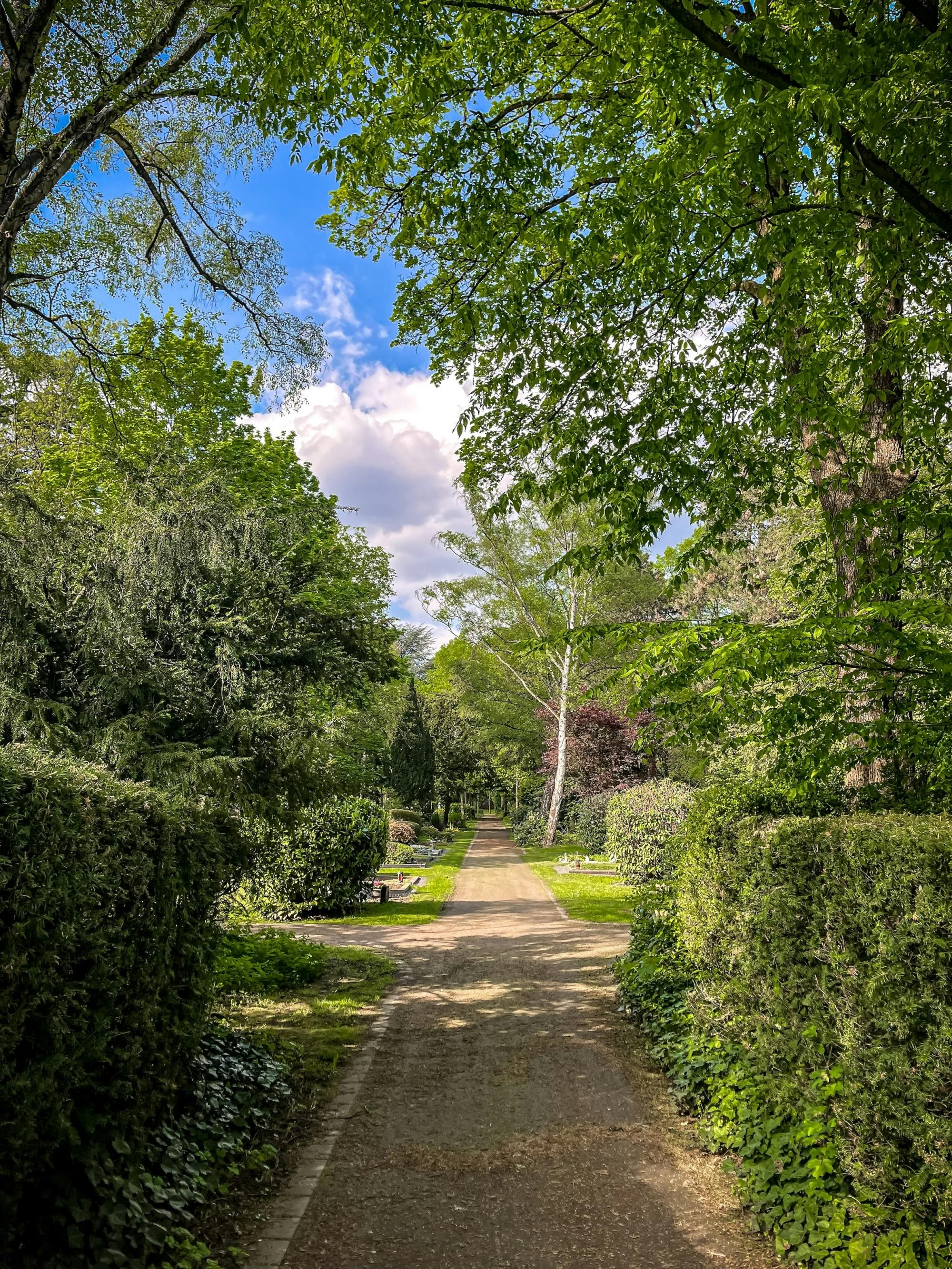 Activity Image