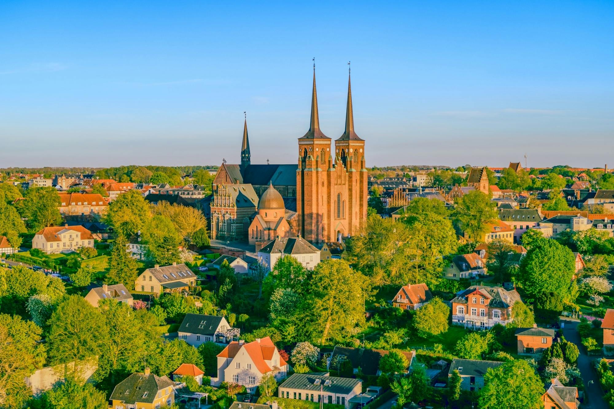 Tagesausflug ab Kopenhagen: Dänemarks Wikingerzeit und Königshausgeschichte