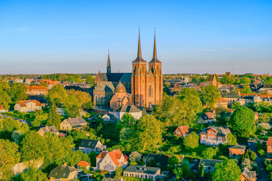 Denmark's Viking Age and royal history day tour from Copenhagen