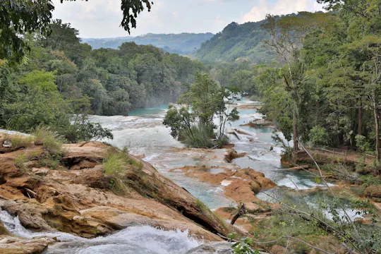 Agua Azul and Misol-Ha Falls tour without guide from San Cristóbal