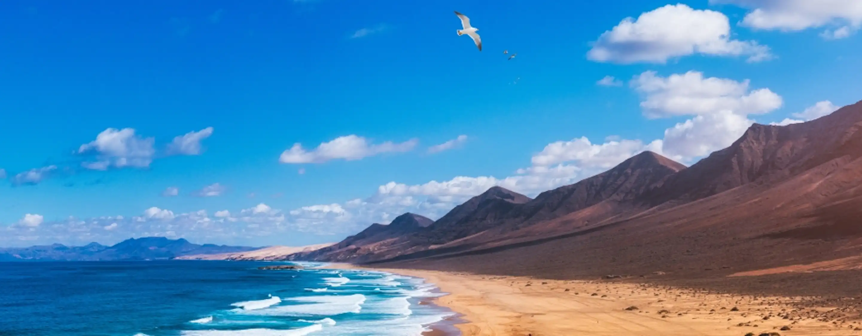 Cofete Beach
