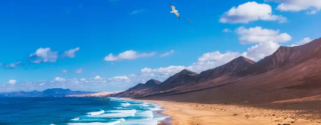 Cofete Beach: entradas y tours