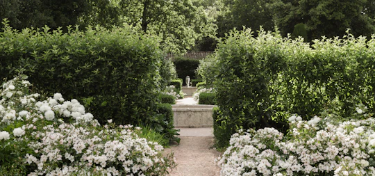 Guided tour of the Remarkable Garden at the Commanderie de Peyrassol