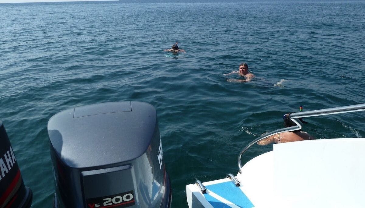 Activity Image
