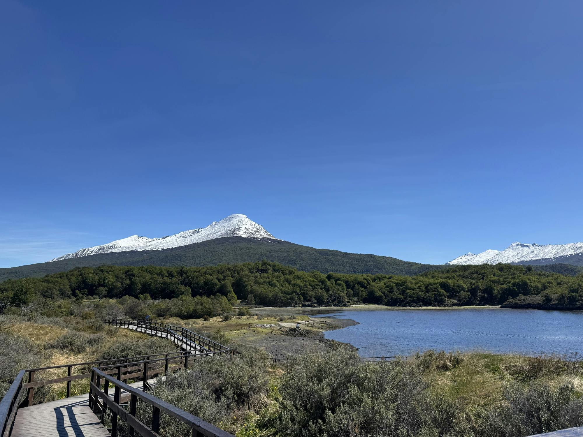 Visita guiada de meio dia ao Parque Nacional da Terra do Fogo