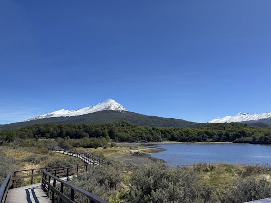 Visita guiada de meio dia ao Parque Nacional da Terra do Fogo