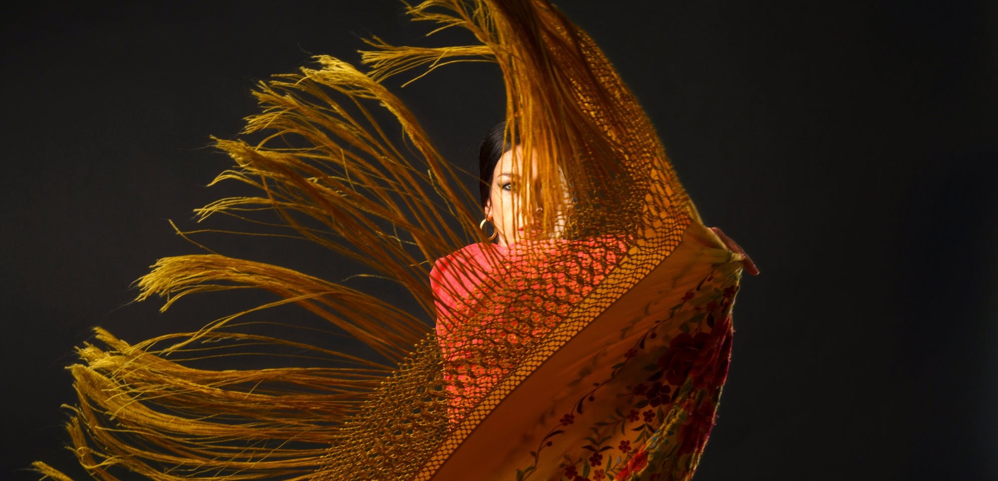 Flamenco show with masterclass and Iberian meats platter in Alcúdia