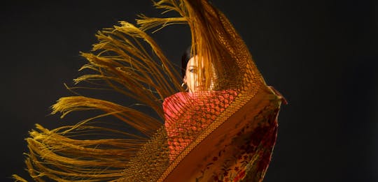 Flamenco show with masterclass and Iberian meats platter in Alcúdia