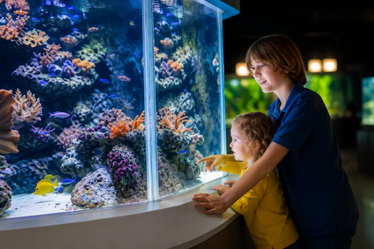 Aquarium du Grand Lyon entrance ticket and 1GB eSIM