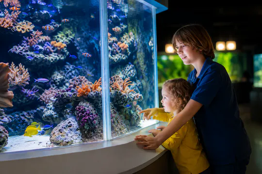 Entrada al Aquarium du Grand Lyon y una eSIM de 1 GB