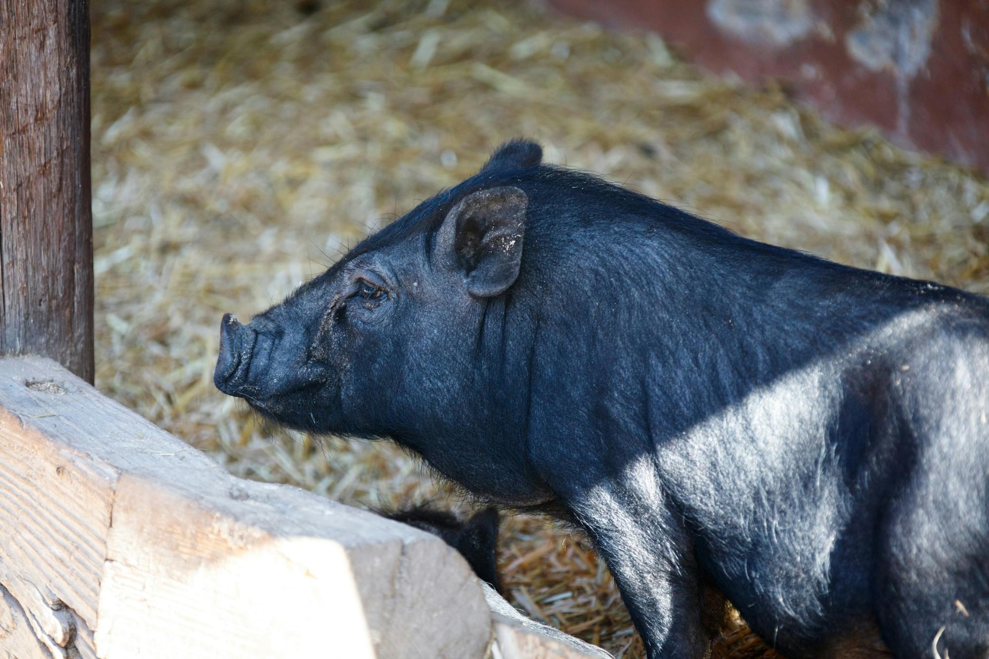 Lanzarote_Rancho_Park_3.jpg