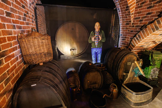Tickets for Alsace Wine Museum in Colmar