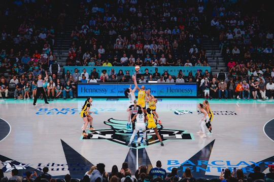 New York Liberty basketball game ticket