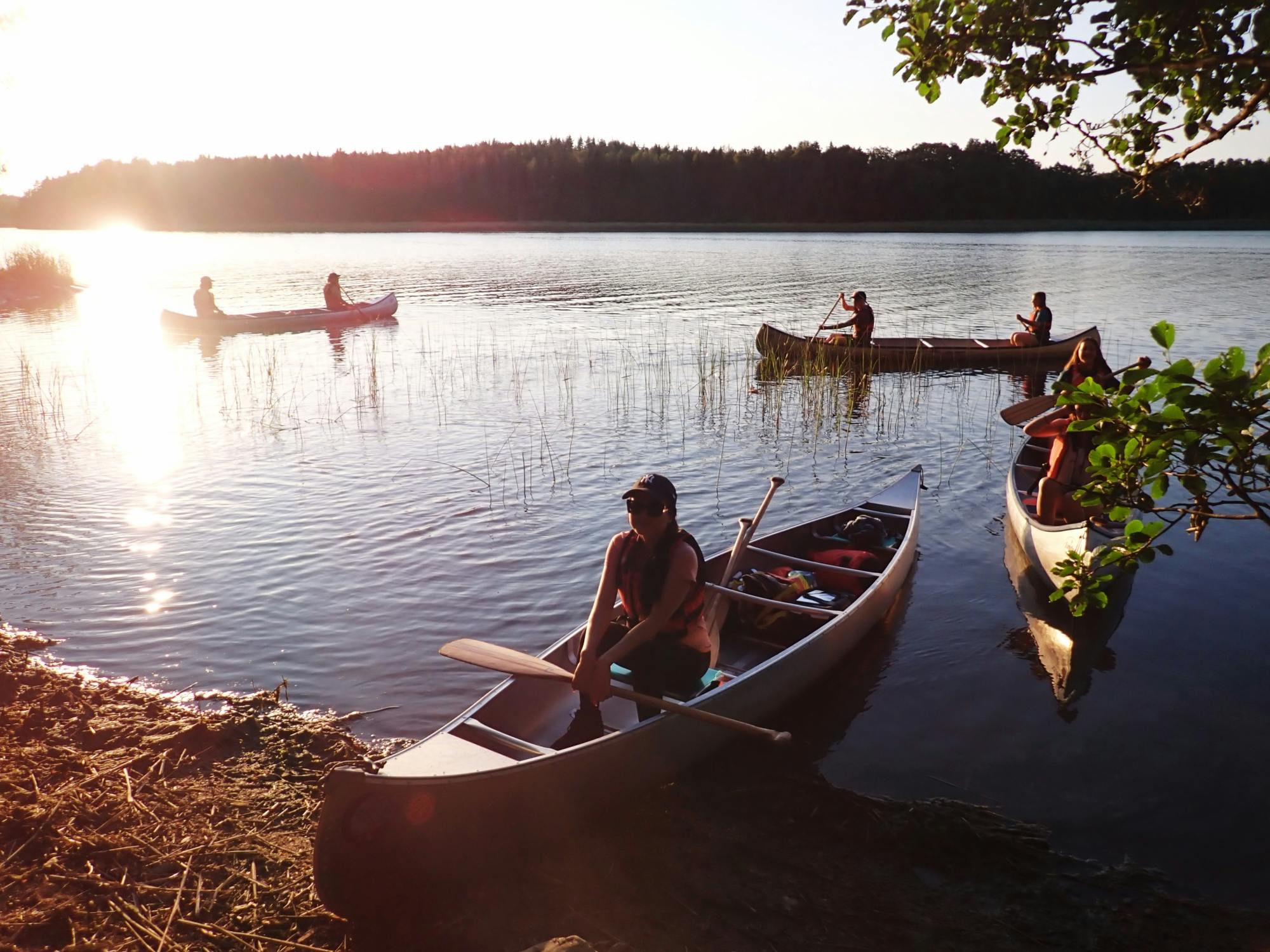 Kanu-Tour bei Sonnenuntergang in Stockholm mit Biberbeobachtung und Abendessen am Wasser