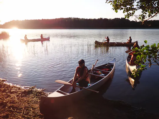 Passeio de canoa para ver o pôr-do-sol em Estocolmo, com observação de castores e jantar à beira-água