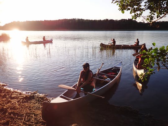 Excursion en canoë à la découverte des castors au coucher du soleil à Stockholm, avec dîner au bord de l'eau