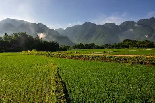 Hanoi to Mai Chau full-day private transfer