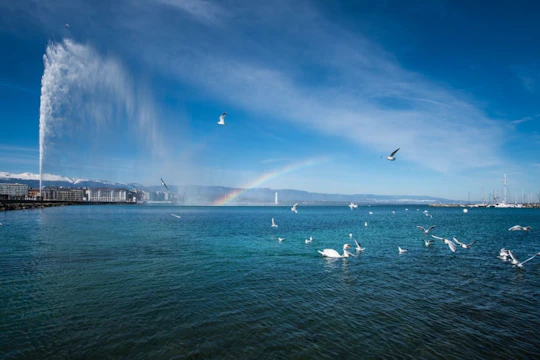 Geneva Lake cruise with snacks and wine