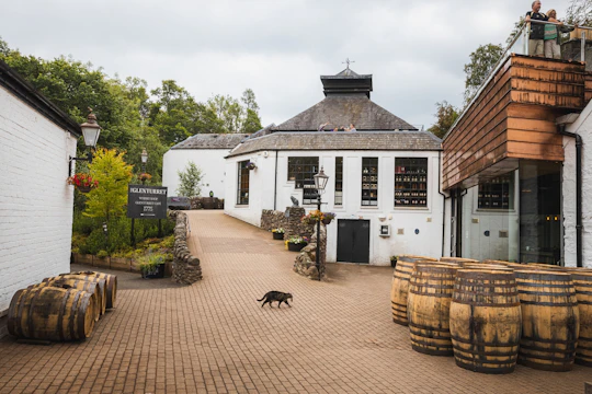 Highlands tour from Edinburgh with whisky distillery visit