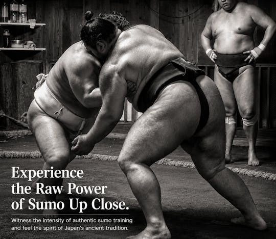 Morning sumo practice viewing with guide in Tokyo