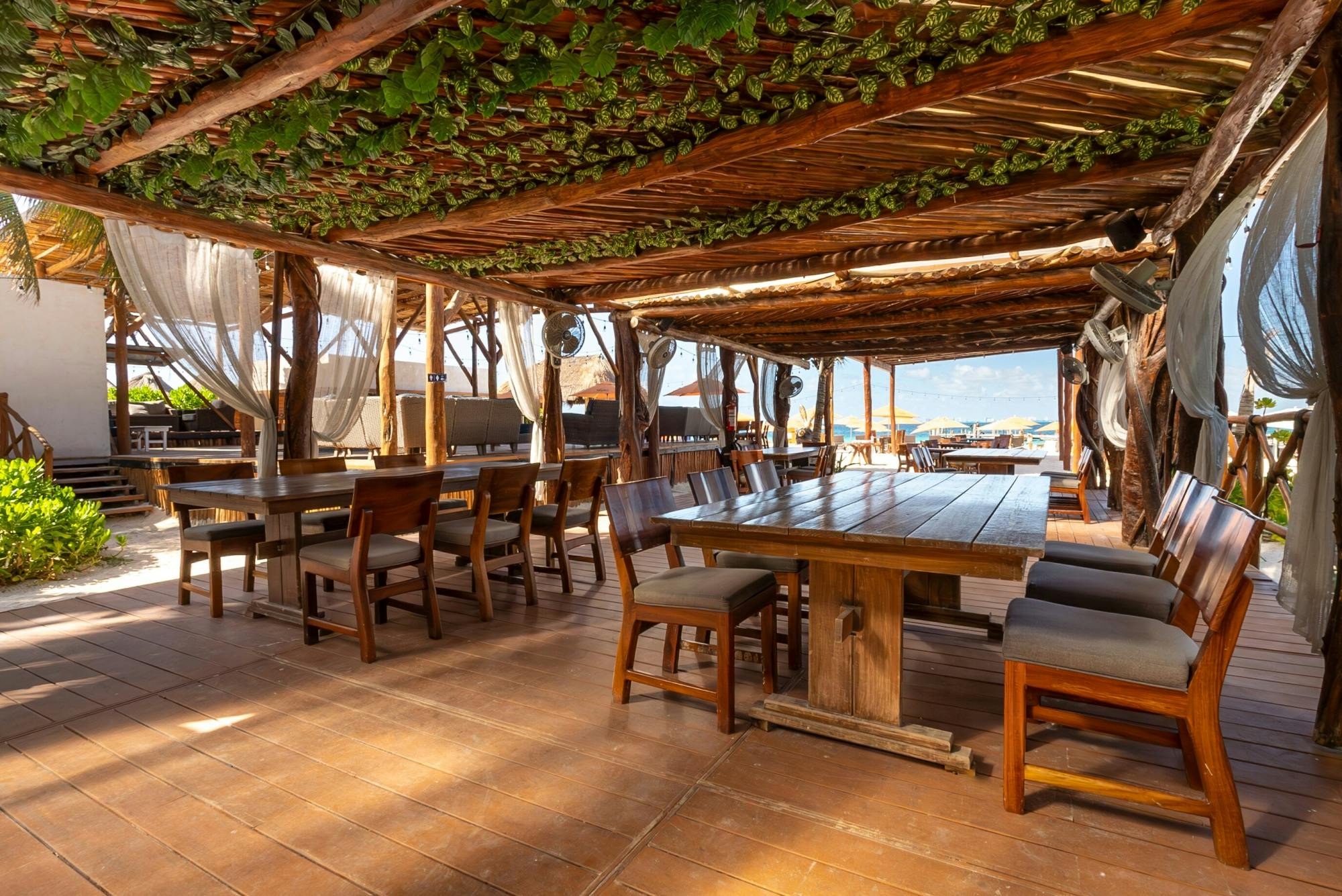 Catamaran cruise to Isla Mujeres with beach club visit and brunch