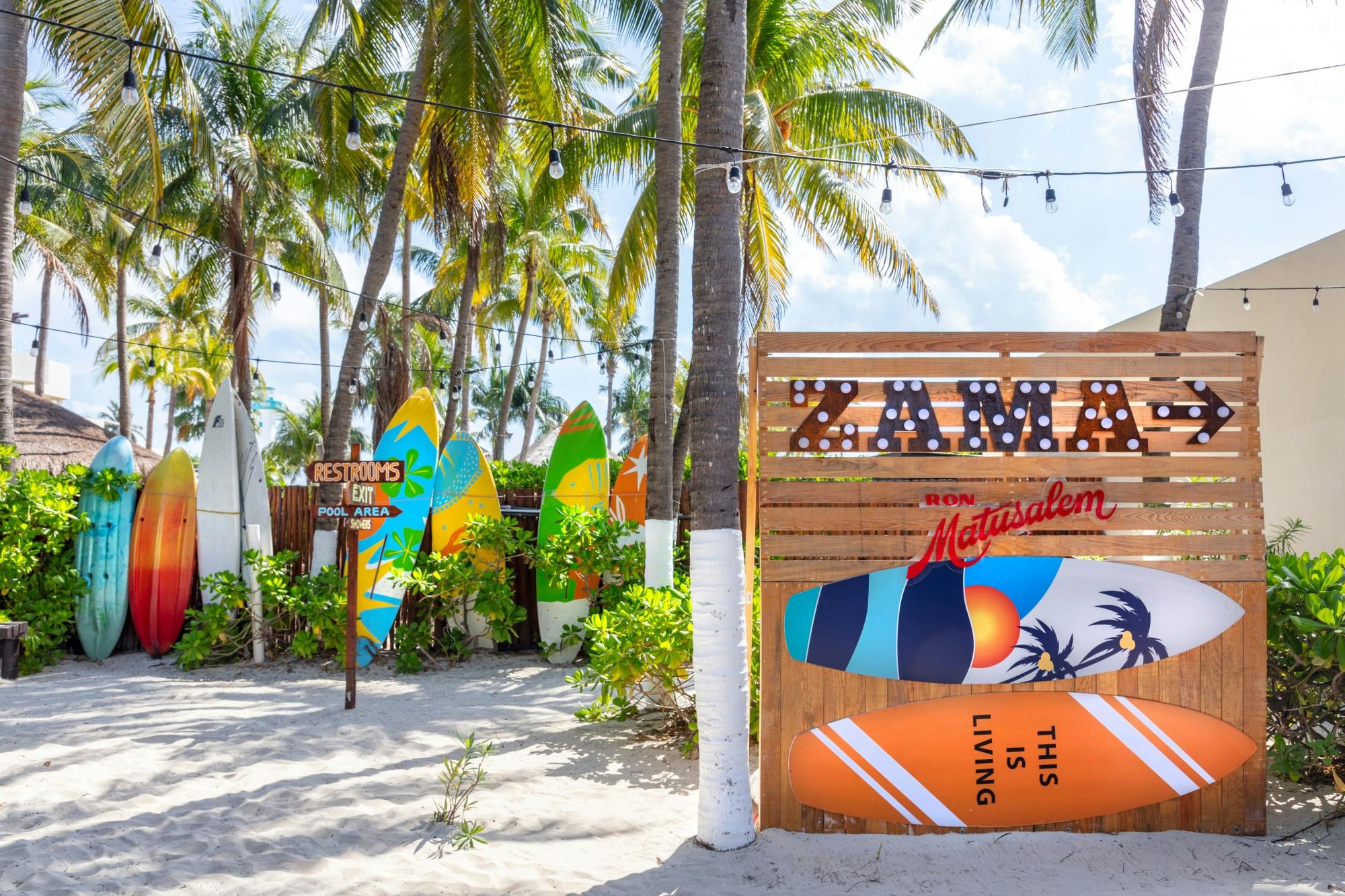 Catamaran cruise to Isla Mujeres with beach club visit and brunch