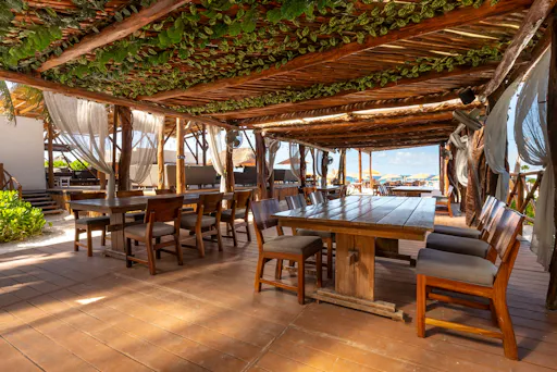 Catamaran cruise to Isla Mujeres with beach club visit and brunch