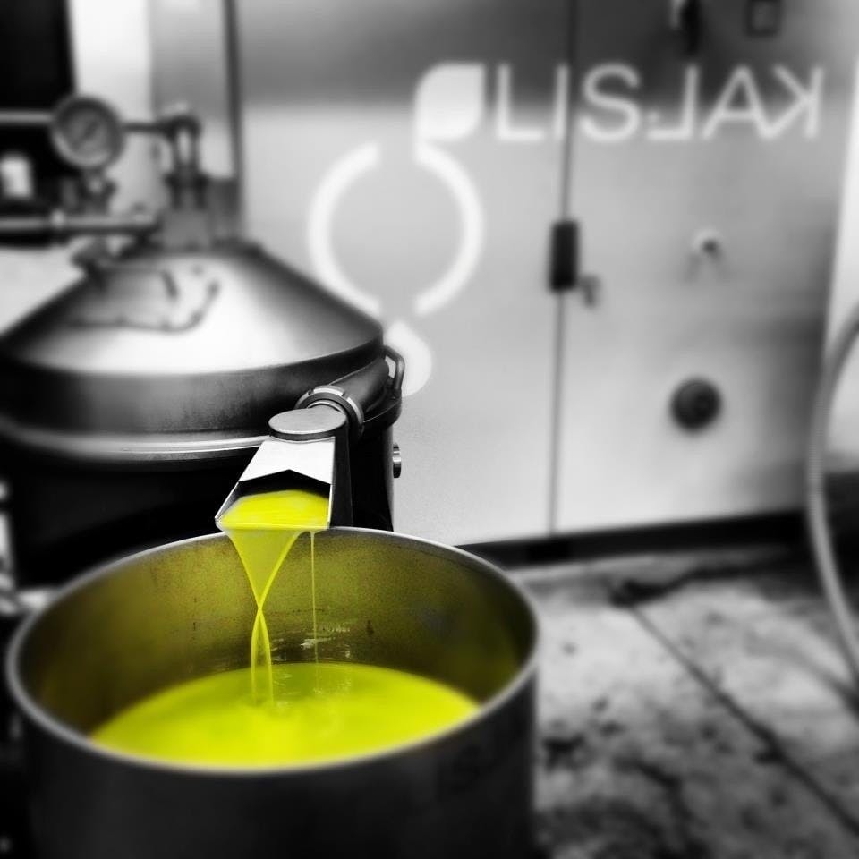 Vintage van tour through Slovenian olive groves with tastings