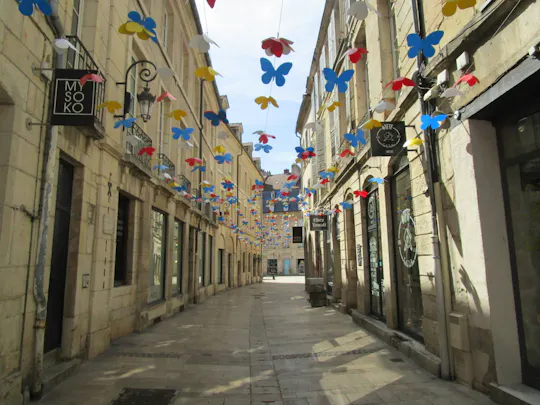 Historical Dijon: A Delivery Through Time city exploration game