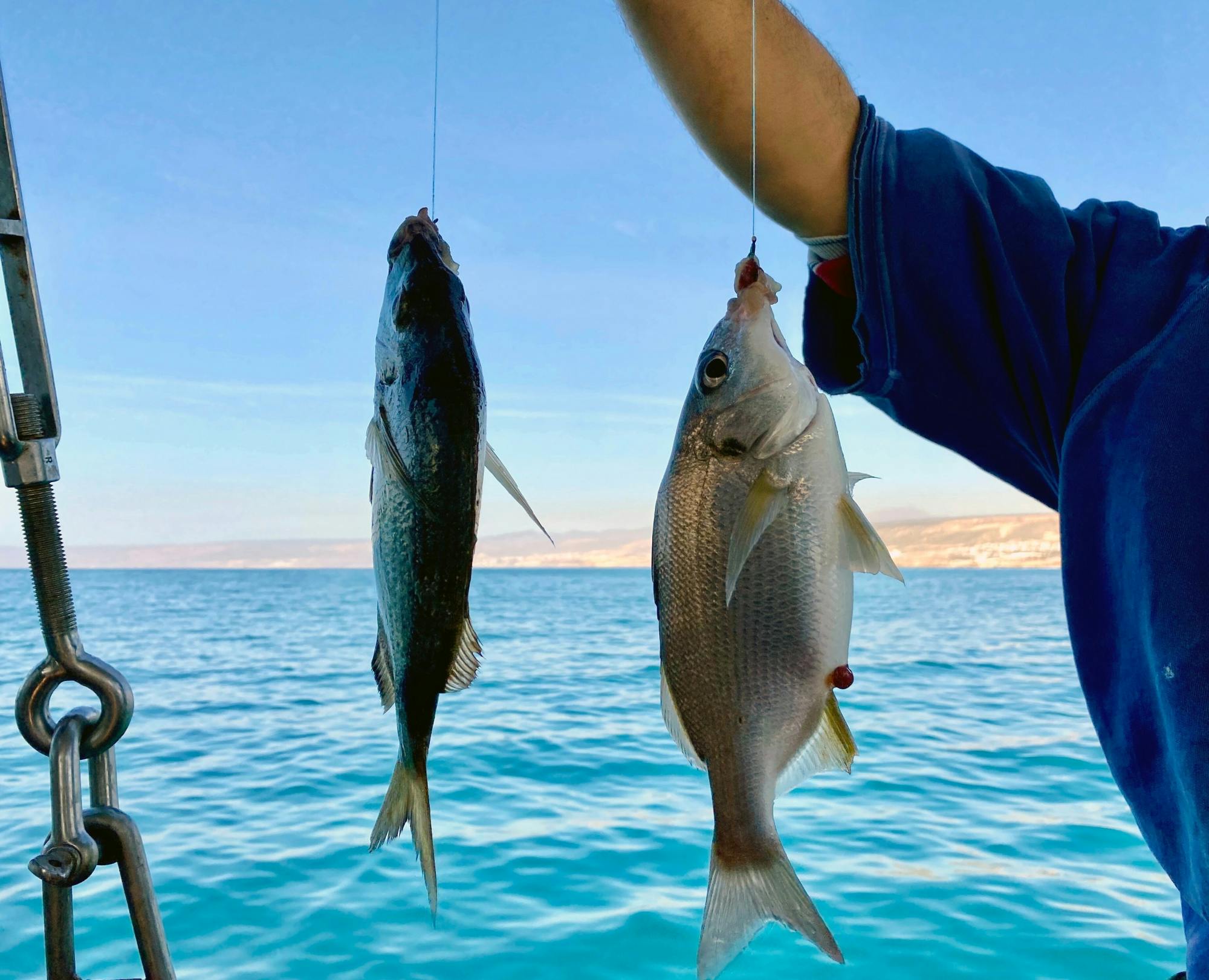 Deep Sea Fishing Boat Trip
