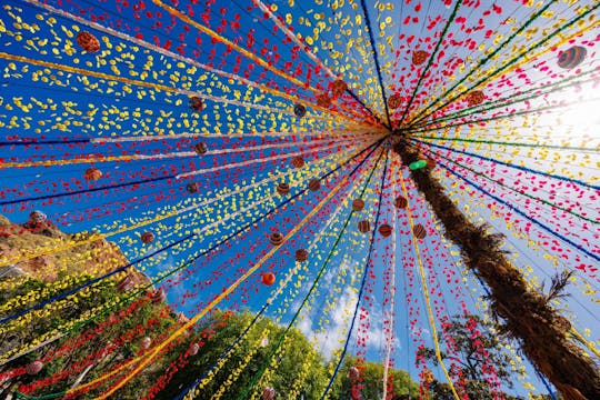 Servizio di trasferimento al festival del folclore di Santana a Madeira