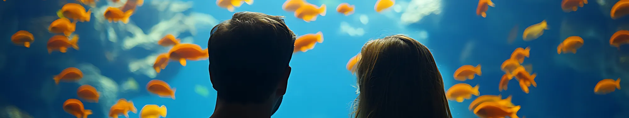 Sea Life Sydney Aquarium