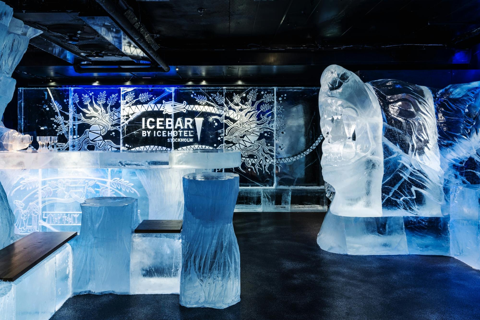 ICEBAR Stockholm entrance with drink