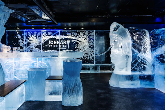 ICEBAR Stockholm entrance with drink
