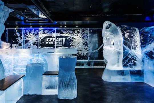 ICEBAR Stockholm entrance with drink