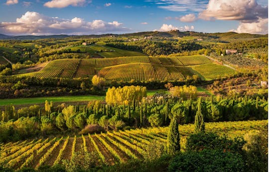 Siena en de Chianti-streek vanaf Florence