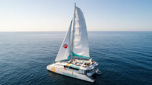 Solar eclipse catamaran cruise from Málaga