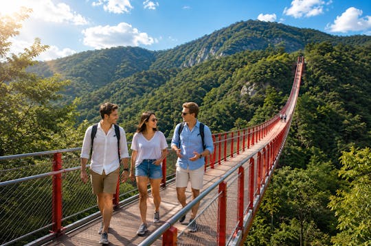 DMZ and Mt. Gamaksan Red Suspension Bridge Tour from Seoul