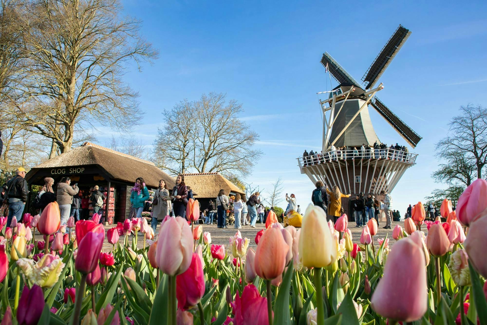 Transporte de ida e volta e entrada nos Jardins de Keukenhof