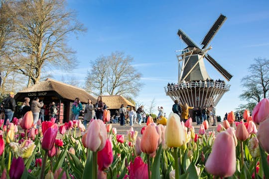 Transporte de ida e volta e entrada nos Jardins de Keukenhof