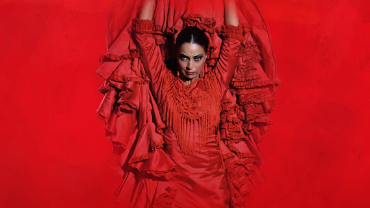 The premium experience at Teatro Flamenco Sevilla