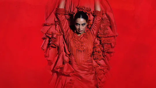 Teatro Flamenco Sevilla entrance tickets