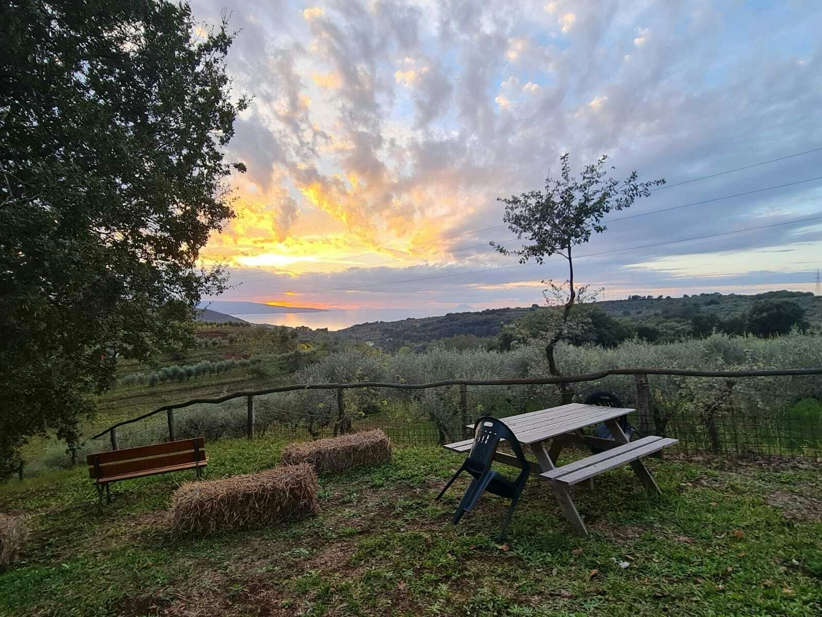 Calabrian vineyard tour with wine-tasting from Pizzo