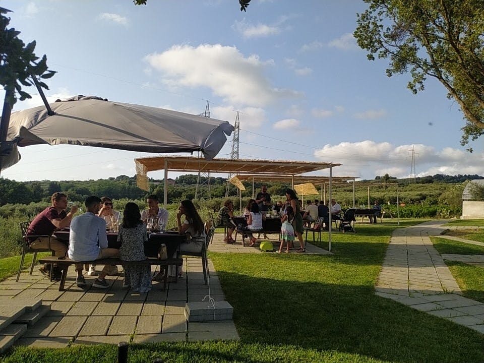 Calabrian vineyard tour with wine-tasting from Pizzo