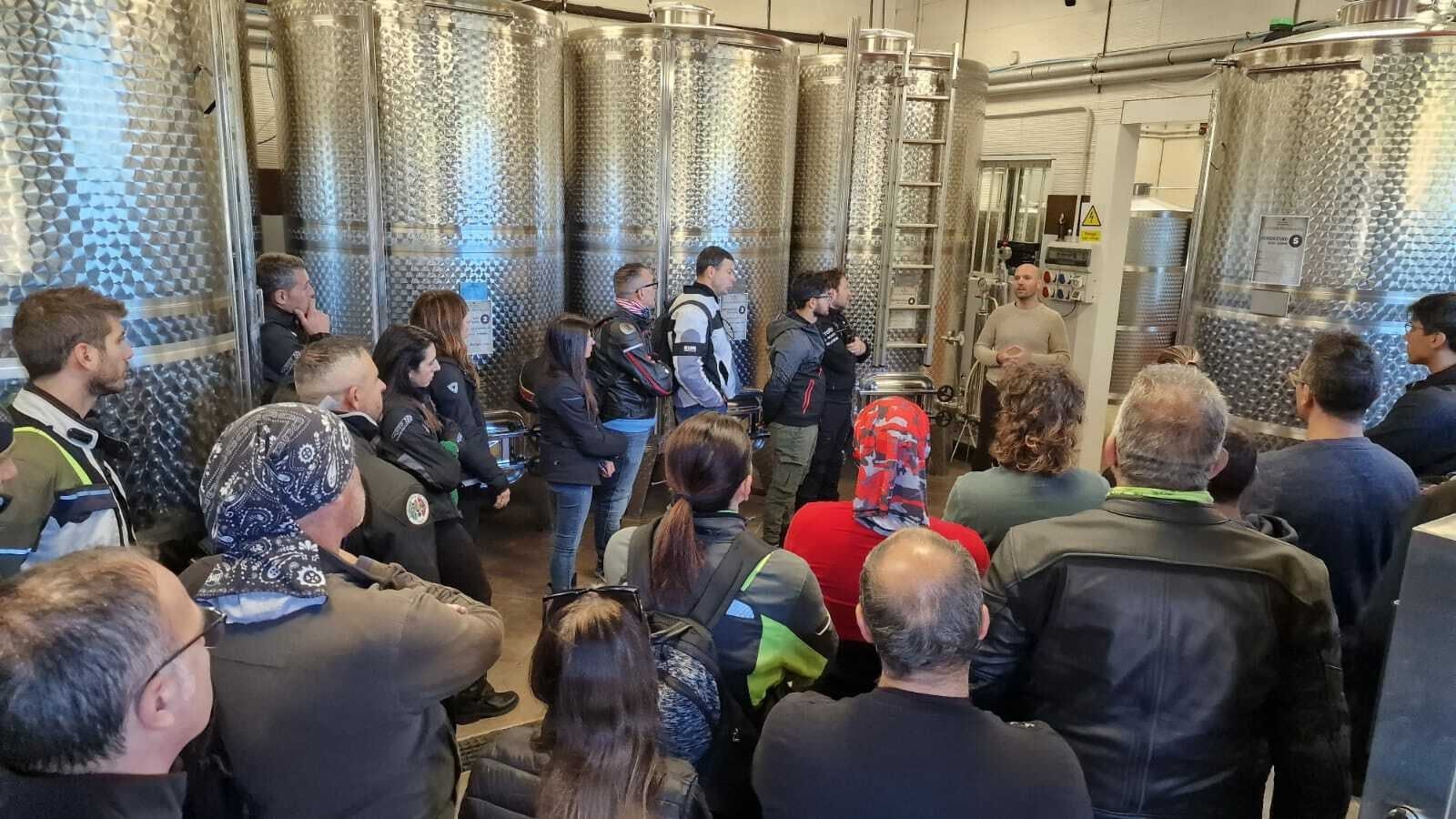 Calabrian vineyard tour with wine-tasting from Pizzo