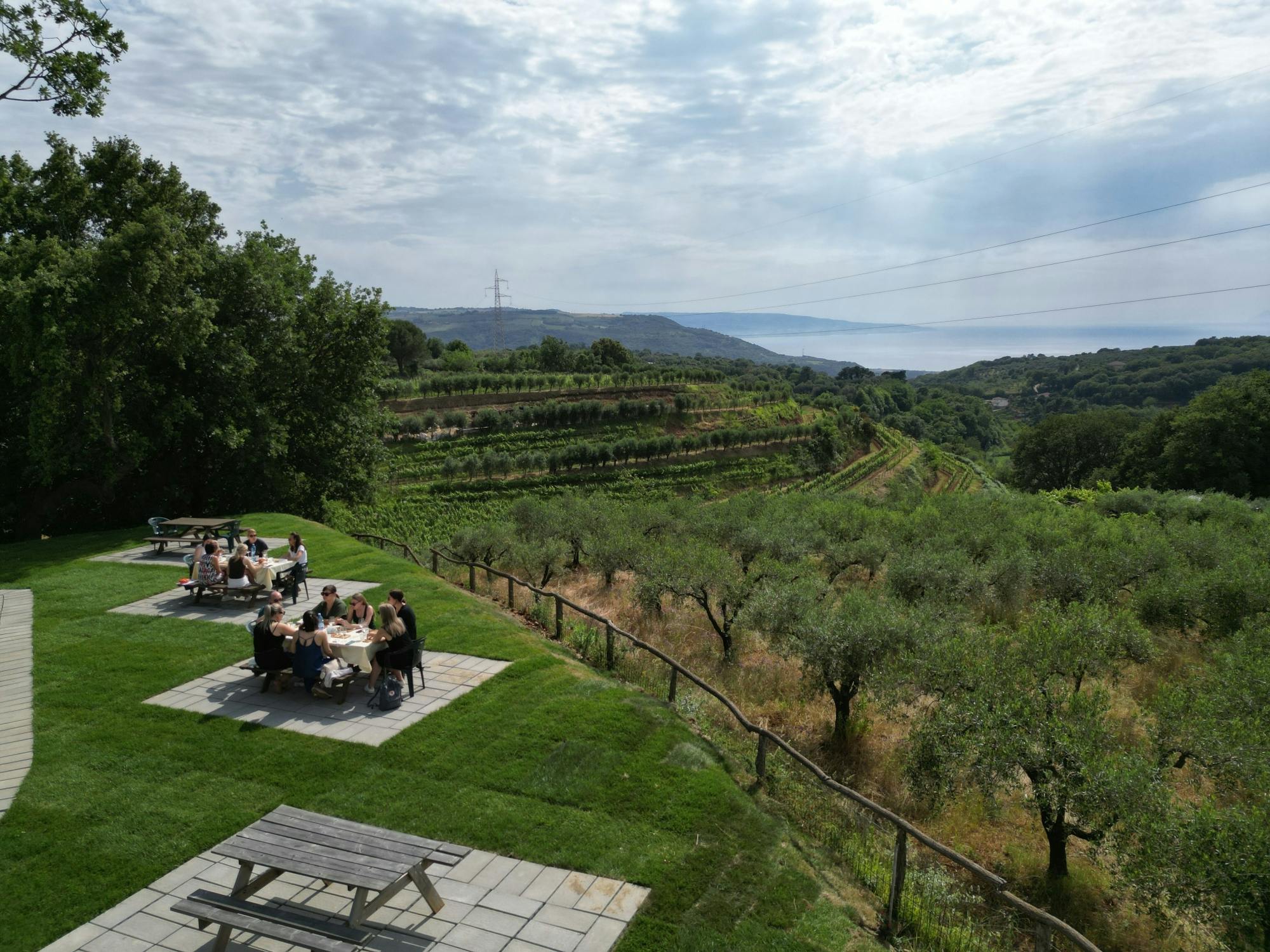 Calabrian vineyard tour with wine-tasting from Pizzo