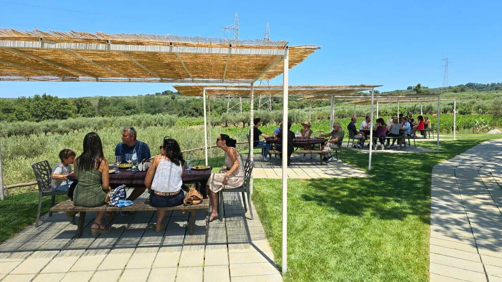 Calabrian vineyard tour with wine-tasting from Pizzo