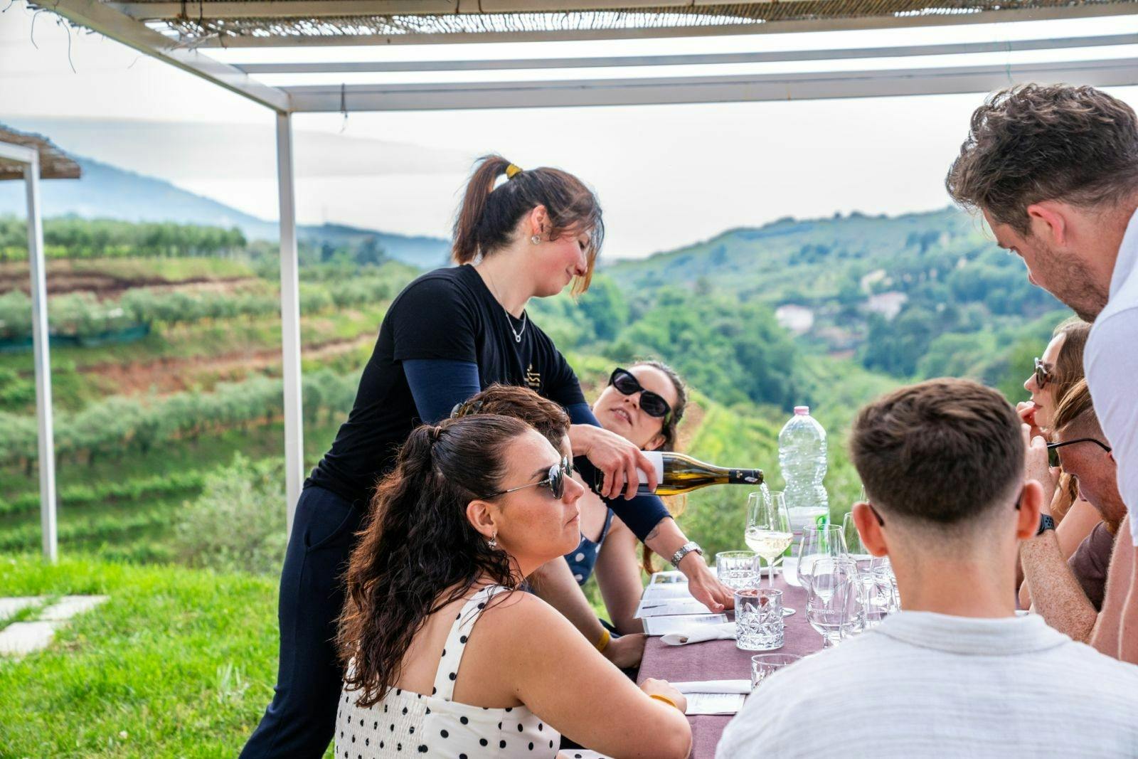 Calabrian vineyard tour with wine-tasting from Pizzo