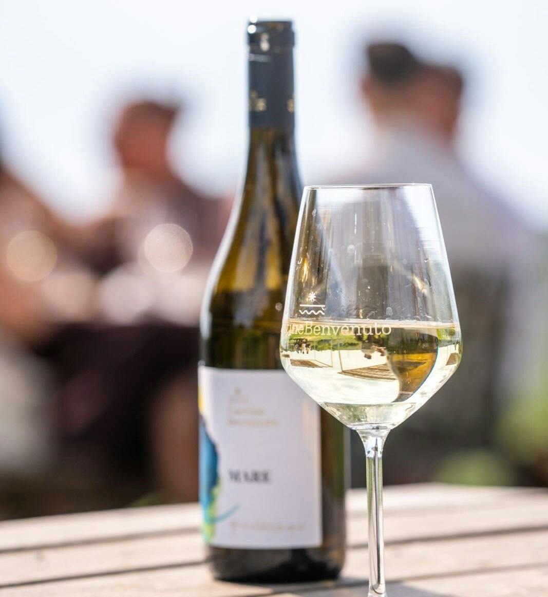 Calabrian vineyard tour with wine-tasting from Pizzo