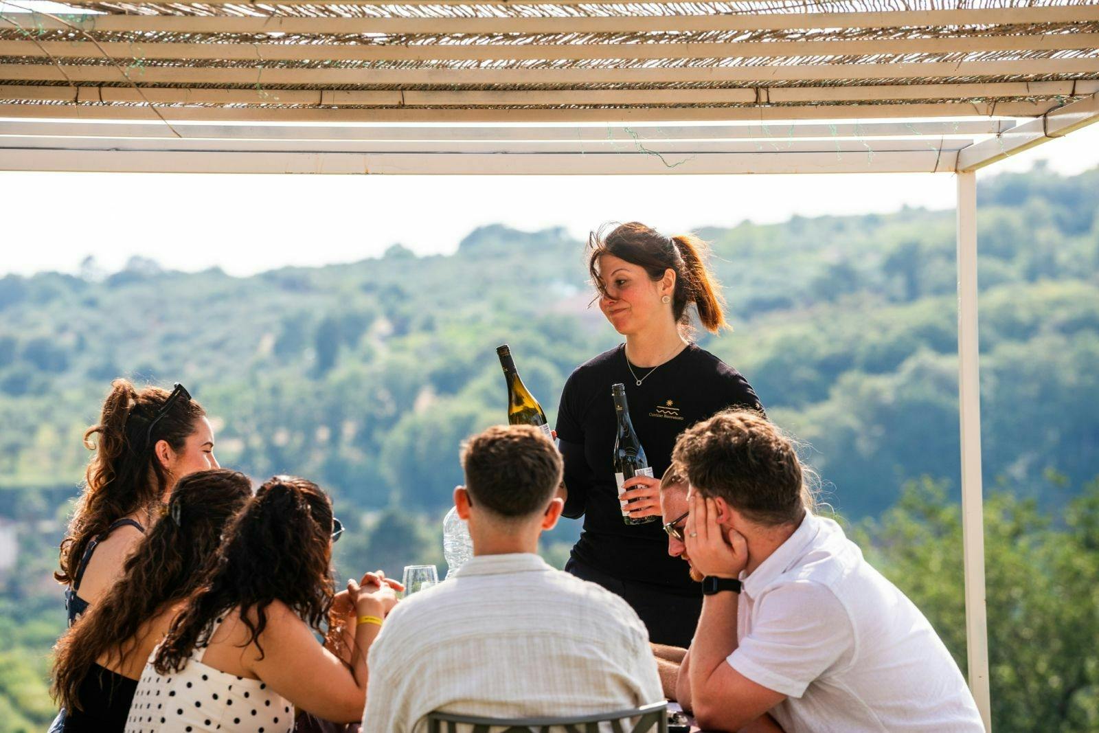 Calabrian vineyard tour with wine-tasting from Pizzo